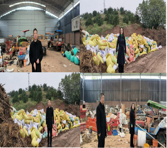 RTX截图未命名1